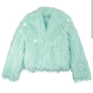 Taylor Swift Faux Fur Puffer Jacket in Mint Green